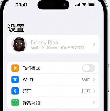 贵溪appleID维修服务iPhone设置中Apple ID显示为灰色无法使用 