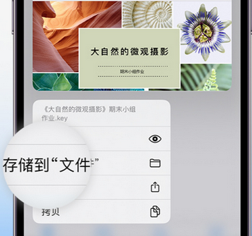 贵溪apple维修中心分享iPhone文件应用中存储和找到下载文件