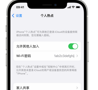 贵溪apple服务站点分享iPhone上个人热点丢失了怎么办