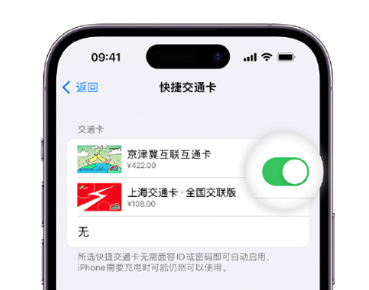 贵溪apple维修点分享iPhone上更换Apple Pay快捷交通卡手绘卡面 