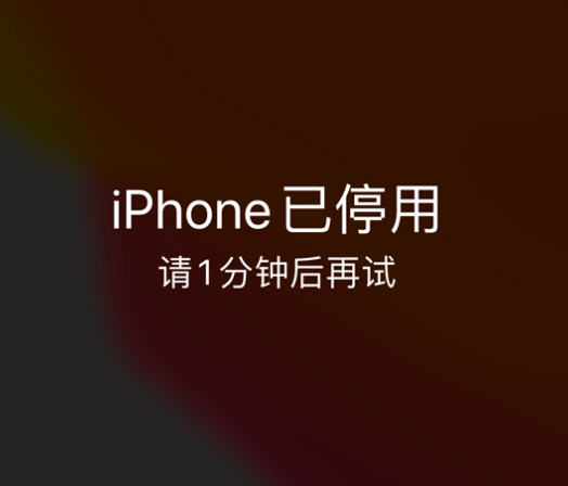 贵溪苹果手机维修分享:iPhone 显示“不可用”或“已停用”怎么办？还能保留数据吗？ 