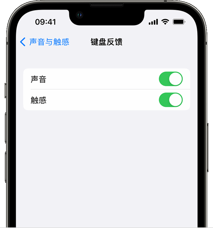 贵溪苹果14维修店分享如何在 iPhone 14 机型中使用触感键盘 