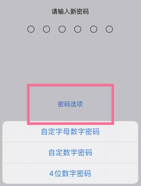 贵溪苹果14维修分享iPhone 14plus设置密码的方法 