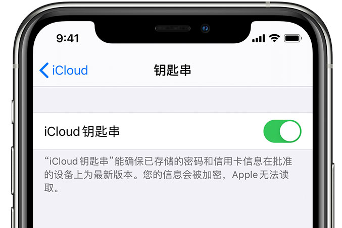 贵溪苹果手机维修分享在 iPhone 上开启 iCloud 钥匙串之后会储存哪些信息 