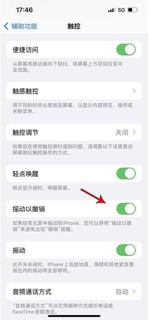 贵溪苹果手机维修分享iPhone手机如何设置摇一摇删除文字 