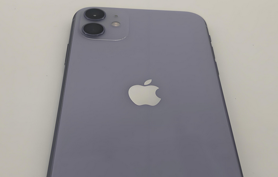 贵溪苹果11系统维修分享iPhone11手机系统崩溃无法开机如何解决 